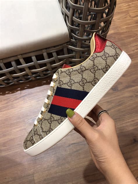 ace gucci rep reddit